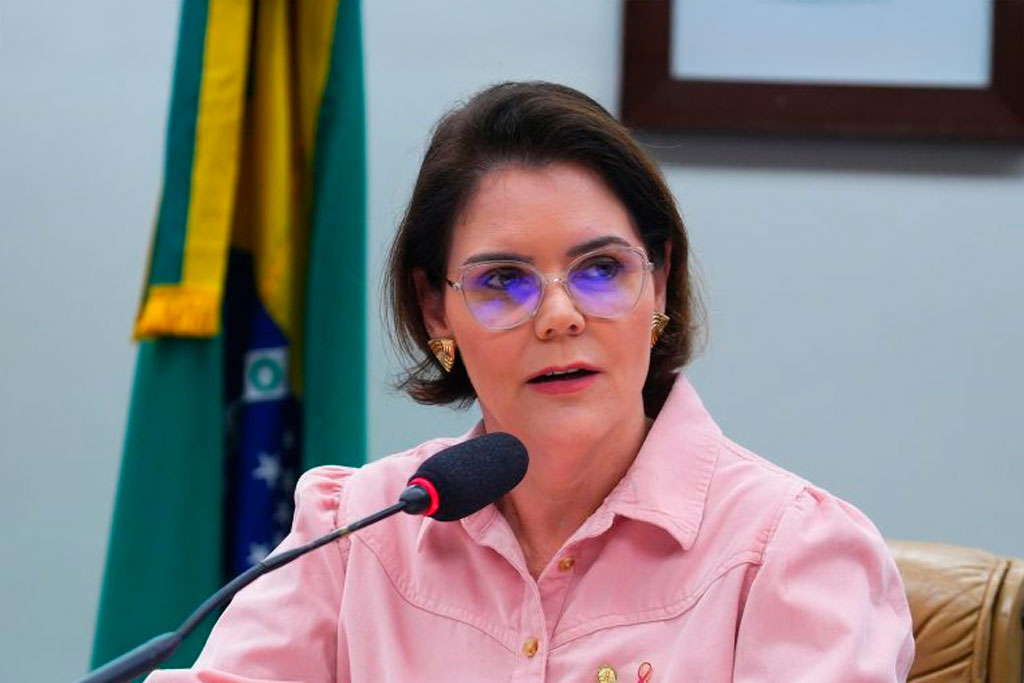 Deputada Coronel Fernanda (PL-MT) incluiu previsão de porte de arma para os guardas patrimoniais – Foto: Pablo Valadares/Câmara dos Deputados