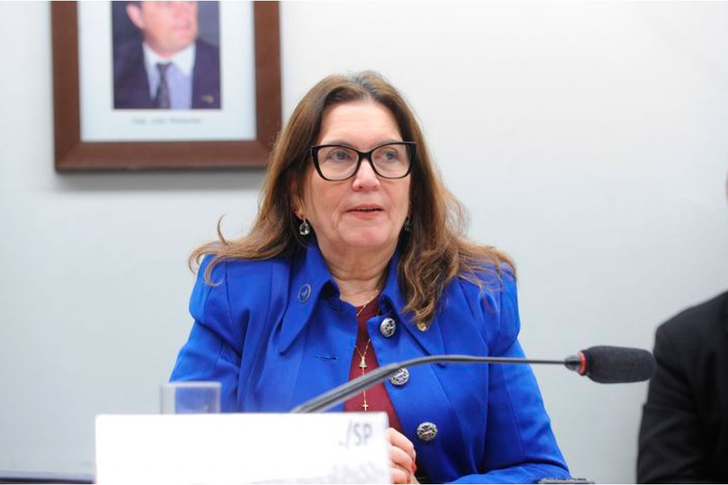 Deputada Bia Kicis (PL-DF), relatora do projeto de lei na CCJ – Foto: Renato Araújo / Câmara dos Deputados