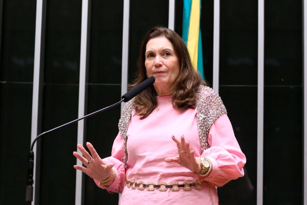 Deputada Bia Kicis (PL-DF) recomendou a aprovação da proposta – Foto: Kayo Magalhães/Câmara dos Deputados