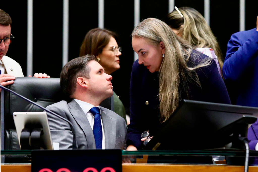 Deputada Daniela Reinehr (PL--SC) - Foto: divulgação/Agência Câmara de Notícias