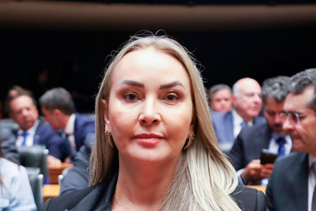 Deputada federal Daniela Reinehr (PL-SC) - Foto: divulgação/Agência Câmara de Notícias
