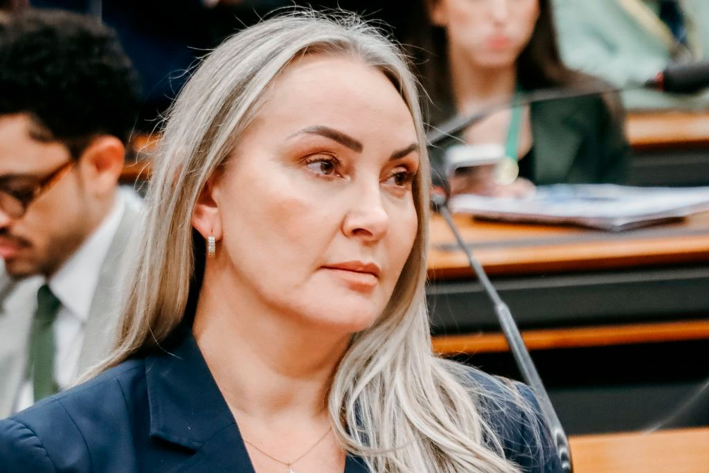 Deputada federal Daniela Reinehr (PL-SC) - Foto: divulgação/Agência Câmara de Notícias