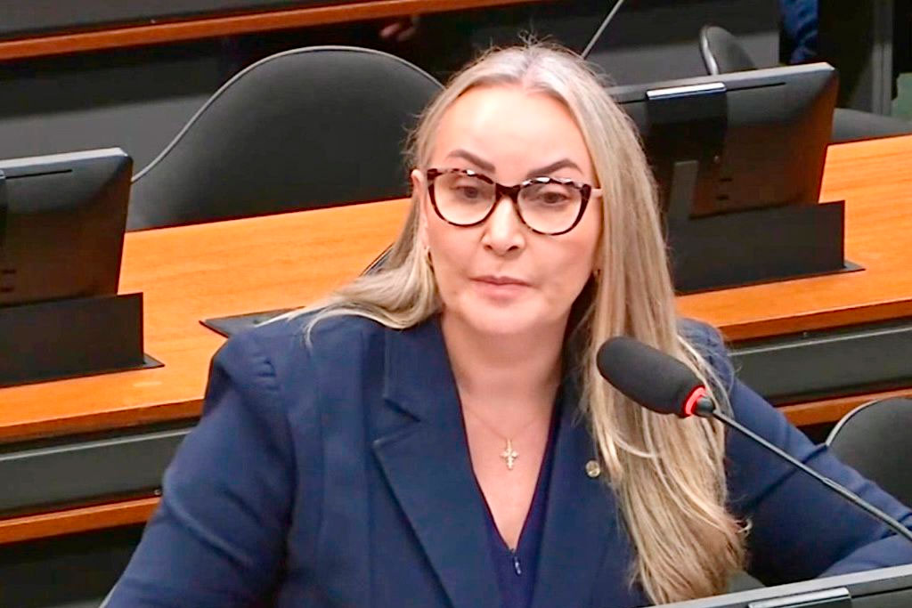 Deputada federal Daniela Reinehr (PL-SC) - Foto: divulgação/Agência Câmara de Notícias