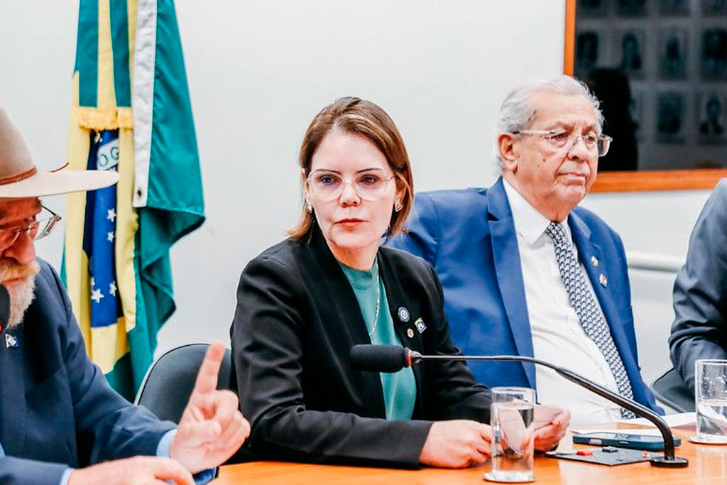 Líder da bancada federal de Mato Grosso, Deputada Coronel Fernanda (PL-MT) - Foto: divulgação/Site da Deputada