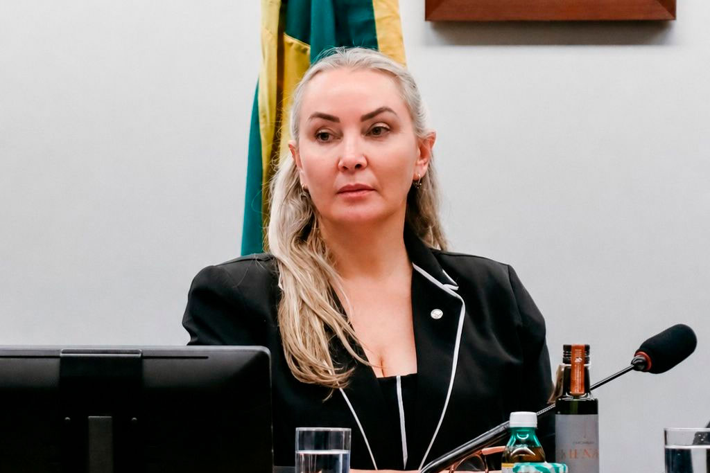 Deputada federal Daniela Reinehr (PL-SC) - Foto: divulgação/Agência Câmara de Notícias