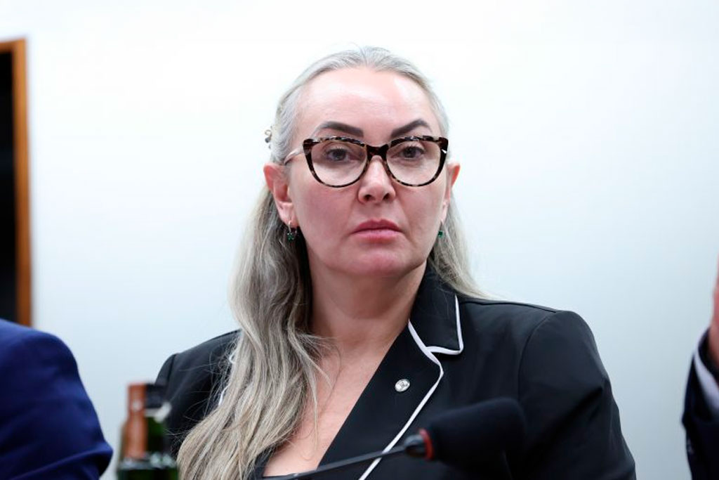 Deputada Daniela Reinehr (PL-SC) é a relatora da proposta – Foto: Kayo Magalhães / Câmara