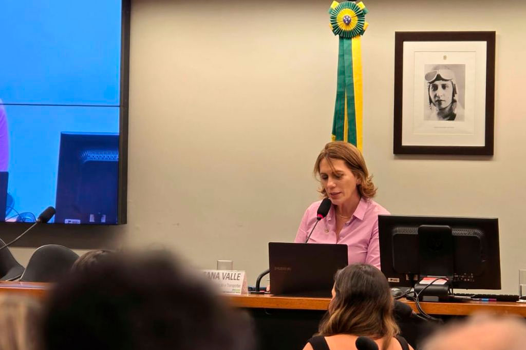 Presidente da Comissão de Viação e Transportes (CVT) da Câmara dos Deputados, Rosana Valle (PL-SP) - Foto: divulgação/Agência Câmara de Notícias