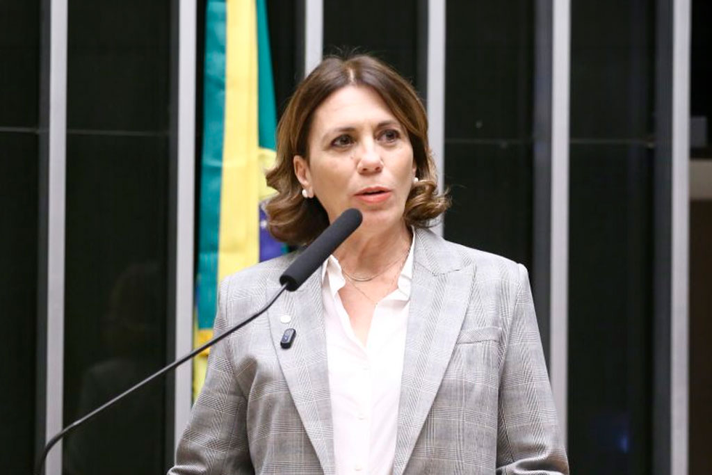 Deputada Rosana Valle (PL-SP): é possível pelo menos a oferta do acesso gratuito a aplicativos de mensagens – Foto: Vinicius Loures / Câmara dos Deputados