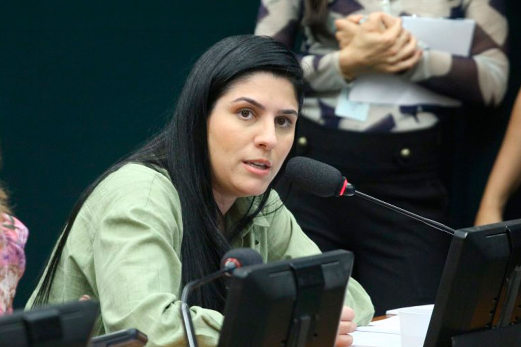 Texto aprovado é o substitutivo da relatora, Chris Tonietto (PL-RJ) – Foto: Vinicius Loures / Câmara dos Deputados