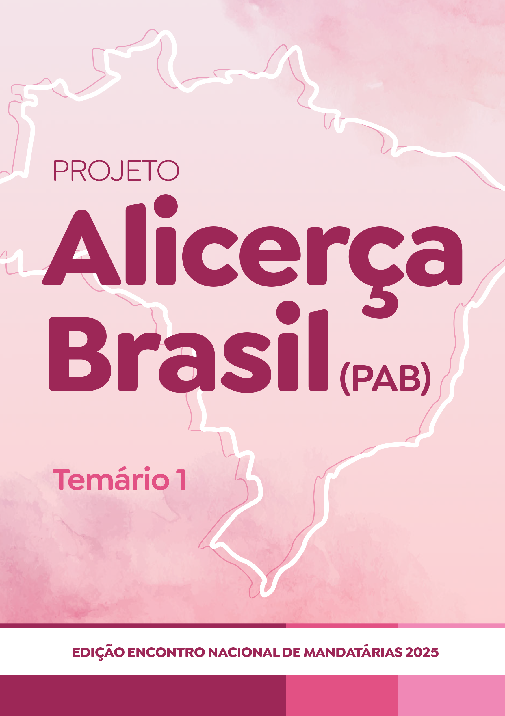 Capa - Projeto Alicerça Brasil - PAB