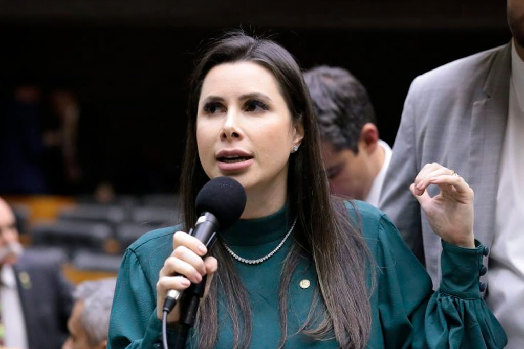 Caroline de Toni (PL-SC): "Ovinocaprinocultura integra o modo de vida de milhares de famílias" – Foto: Kayo Magalhães / Câmara dos Deputados