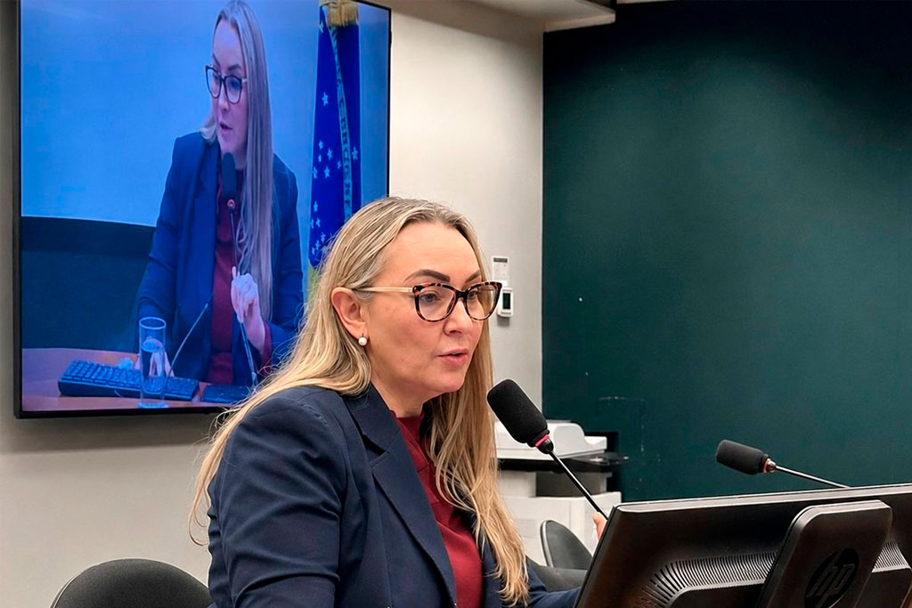 Daniela Reinehr (PL-SC) lidera debate sobre Rota dos Vales, vinhos de altitude e turismo rural na Câmara Federal - foto: divulgação/Agência Câmara de Notícias