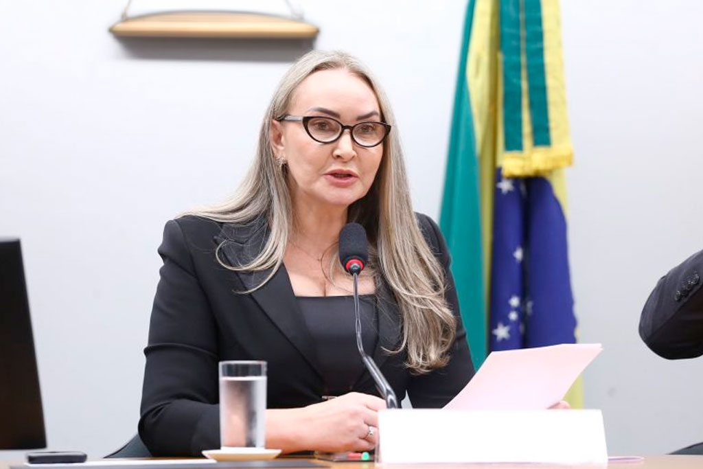 Deputada Daniela Reinehr (PL-SC) propôs a realização do debate – Foto Vinicius Loures / Câmara dos Deputados