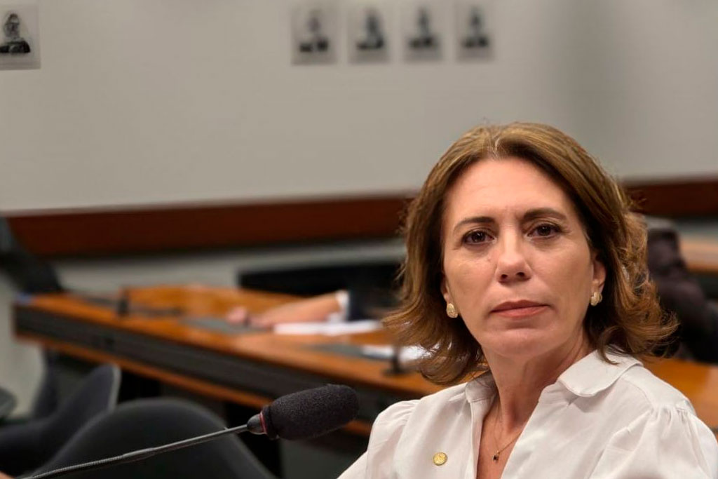 Deputada federal Rosana Valle (PL-SP) - Foto: divulgação/Agência Câmara de Deputados