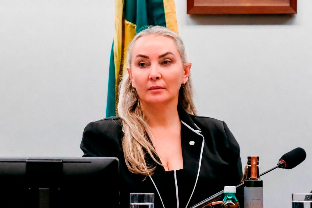 A presidente da Comissão de Turismo da Câmara dos Deputados, deputada federal Daniela Reinehr (PL-SC) - Foto? divulgação/Agência Câmara de Notícias