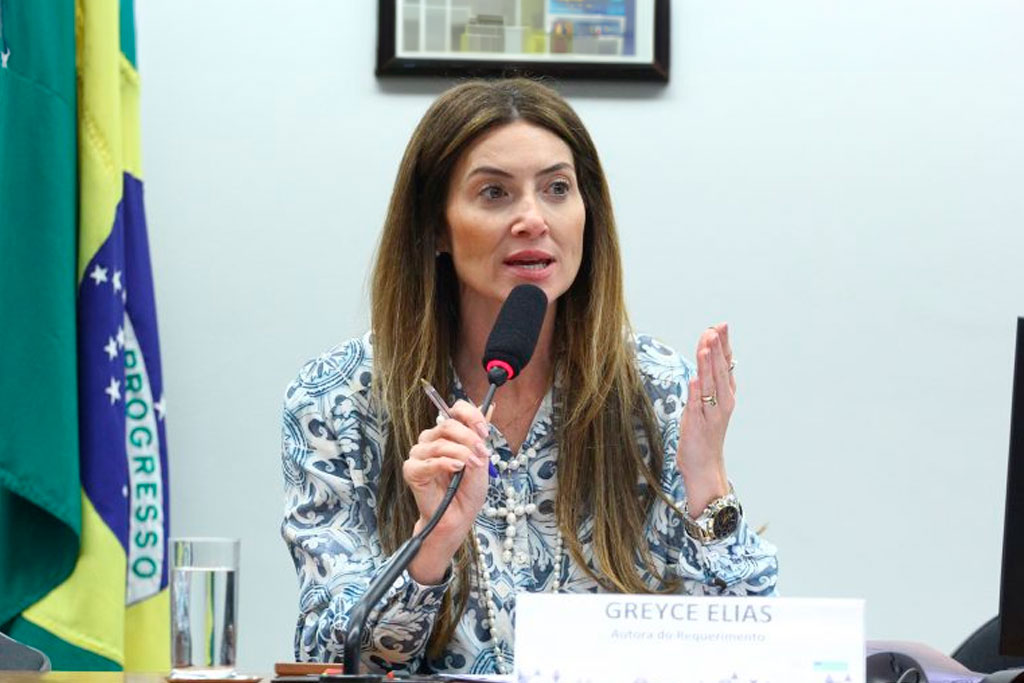 Deputada Greyce Elias, autora do projeto - Foto: Vinicius Loures/Câmara dos Deputados